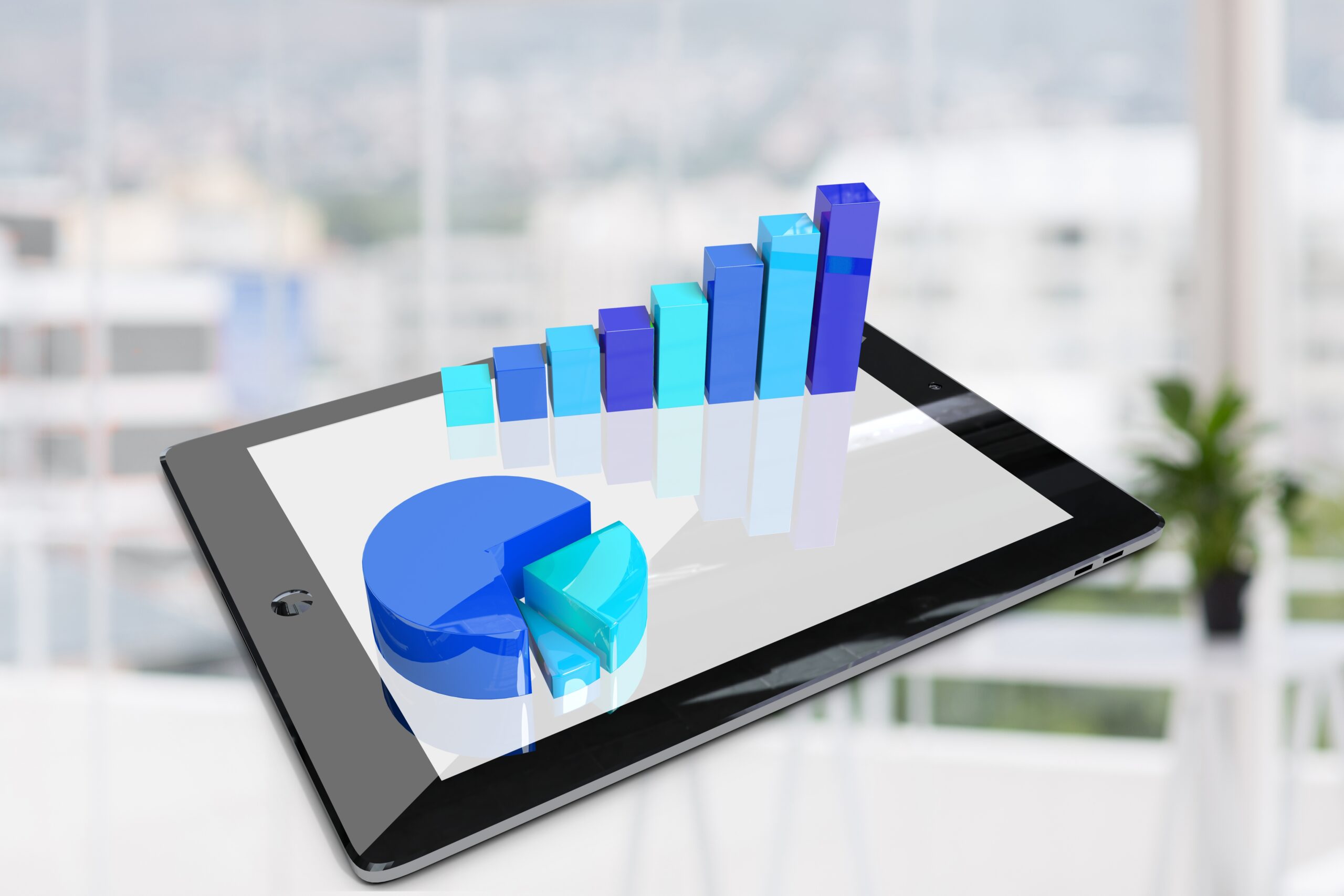 investment portfolio 2025